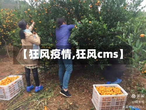 【狂风疫情,狂风cms】-第3张图片