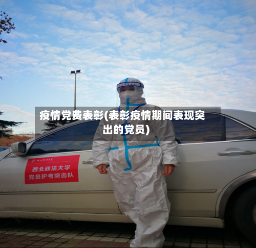疫情党费表彰(表彰疫情期间表现突出的党员)-第3张图片