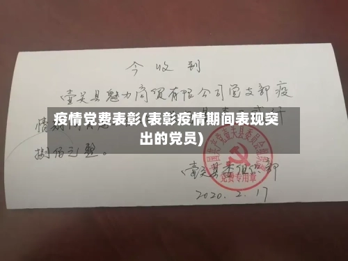 疫情党费表彰(表彰疫情期间表现突出的党员)-第2张图片