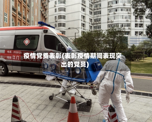 疫情党费表彰(表彰疫情期间表现突出的党员)